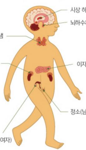 韓国の性教育本の女の子